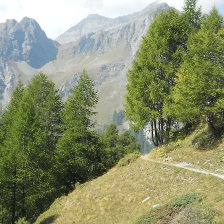 Gæstehus Petit Coeur 4*